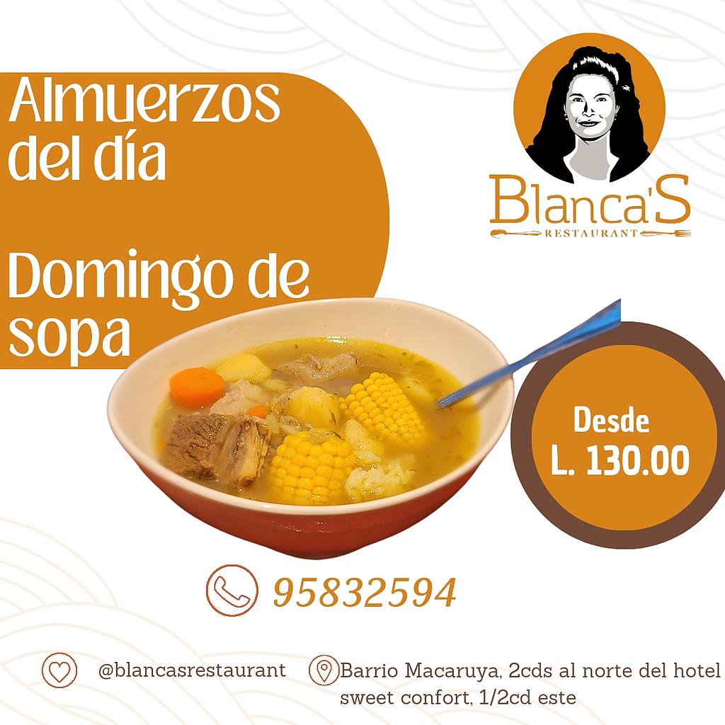 SOPA DEL DIA